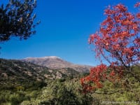 Kritsa Gorge Crete